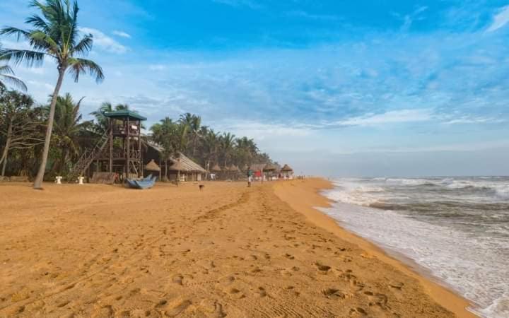 Green Bloom Dehiwala-Mount Lavinia Eksteriør billede